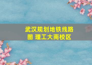 武汉规划地铁线路图 理工大南校区